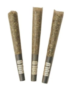 BOLD - 1.5G ORANGE CRUSH PRE-ROLL