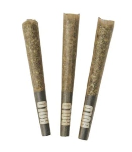 BOLD - ORANGE CRUSH PRE-ROLL - 1.5