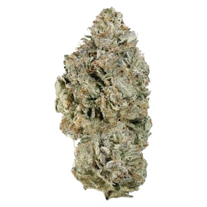 Simply Bare - Simply Bare - BC Organic Cement Shoes - Hybrid - 3.5g