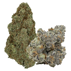 Pistol and Paris - Blackout Bobby