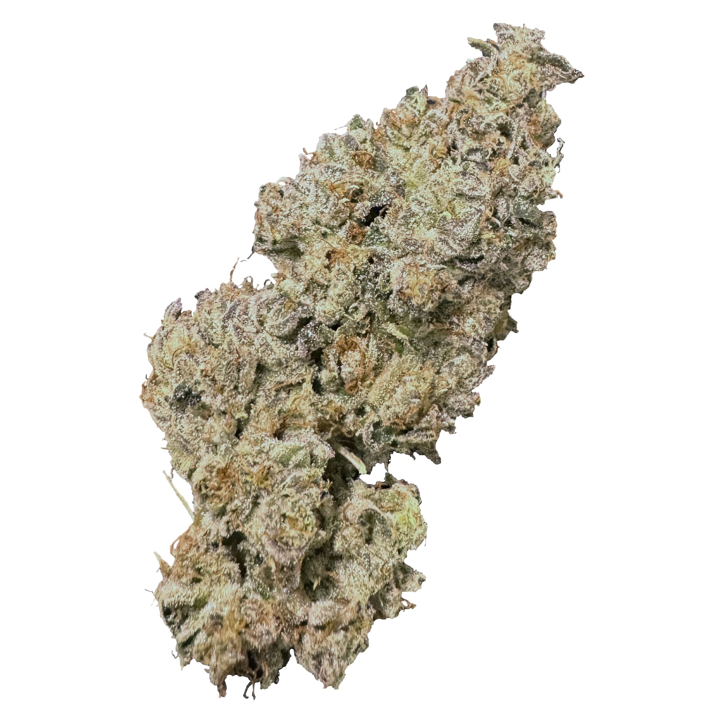 Royal Dive#1: Black Mountain Side 14g Dried Flower