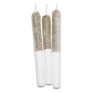 Lamplighter - P.O.G. Infused Pre-Roll 3x0.5g Distillates
