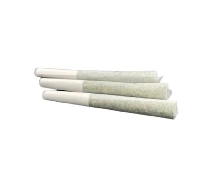 TERRA LABS - Terra Labs - Frosted Oranges Infused (3x0.5g) Main Image