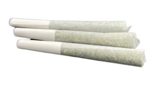 Terra Labs - FROSTED ORANGES INFUSED PRE-ROLLS - 1.5