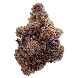 FOUR54 - Gastro Pop 3.5g Dried Flower by FOUR54