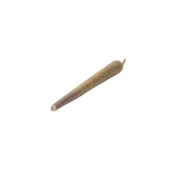 Space Race Saturn V (Gorilla Glue) 1x1g
