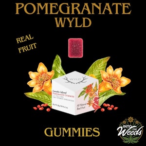 WYLD - Real Fruit Pomegranate 1:1 - 2 x 5:5 mg