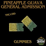 Pineapple Guava THC & CBD Gummy - 2 x 5mg