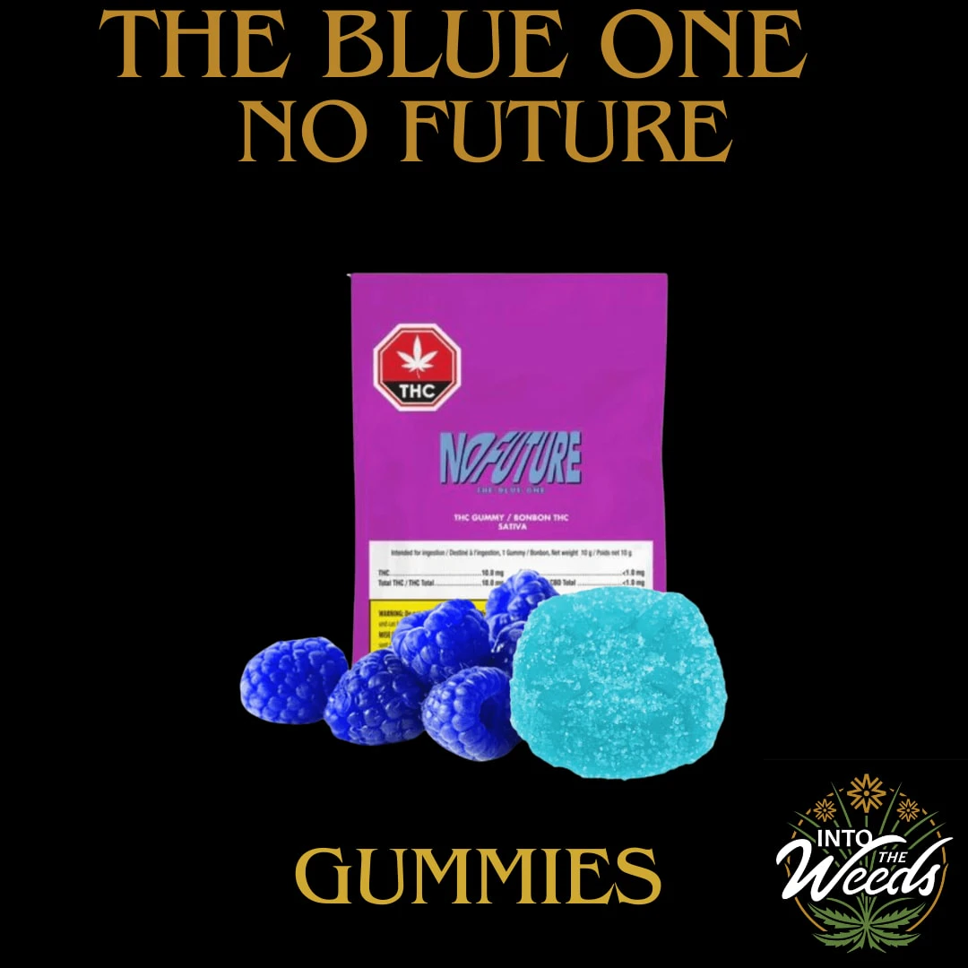 No Future - The Blue One - 1 x 10mg Main Image