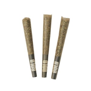 BOLD - Orange Crush Pre-Rolls - BOLD - 3 x 0.5
