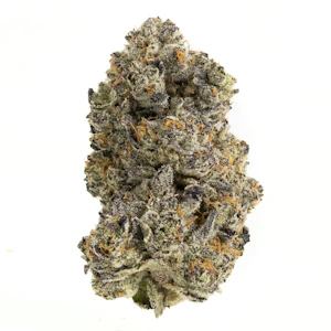 BOOK CLUB  - CACTUS LICKER - 3.5G