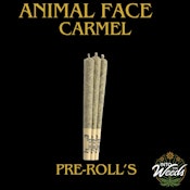 Animal Face Pre-Roll - 3 x 0.5g