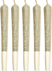 Cake & Caviar - Cake & Caviar - Gunpowder Milkshake Pre-Rolls 5x0.5g | 2.5g