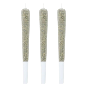 Lamplighter - Tiger Berry Infused Pre-Roll 3x0.5g