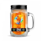 Beamer - Orange Creamsicle - Candle