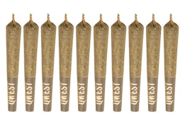 Grandi Guava Pre-Roll | 10x0.35g