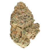 Animal Rntz 14g