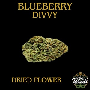 Divvy - Blueberry - 28g
