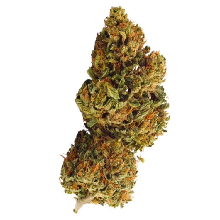 Organic CBD Flower 7g