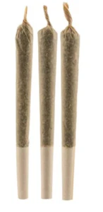 Primo - SUNGROWN CHOCOLATE DIESEL PRE-ROLLS - 1.5
