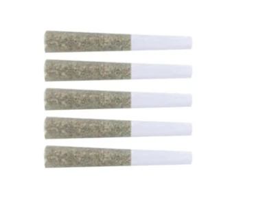 The Loud Plug - EXOTIC GAS - 5 x 0.5g