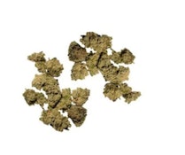 28g