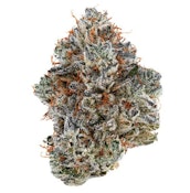 Neon Sunshine 3.5g