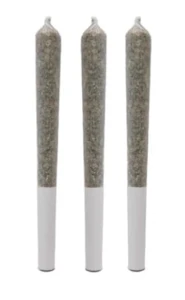 Victoria Cannabis Company - CARIBBEAN BREEZE PRE-ROLLS | Victoria Cannabis Co. - 3 x 0.5g | Balance