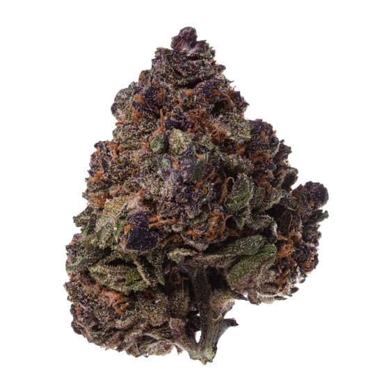 ALL PURPOSE FLOWER INDICA - 28