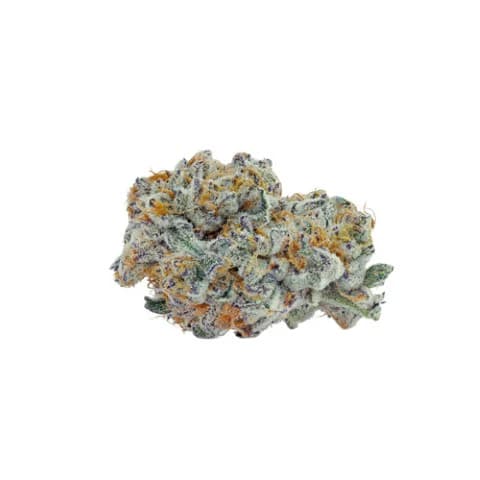 BLUEBERRY YUM YUM - 3.5