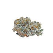 BLUEBERRY YUM YUM - 3.5