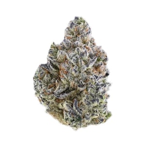 Tribal - Neon Sunshine 3.5g Dried Flower by Tribal