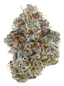 Tribal - Neon Sunshine | 3.5g