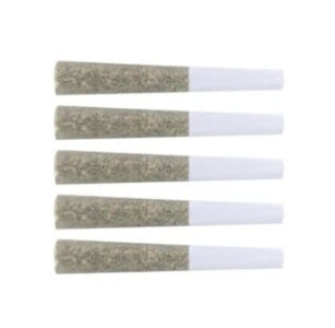 The Loud Plug - VENOM OG - 0.5g x 5