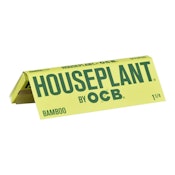 OCB Houseplant Bamboo 1 1/4
