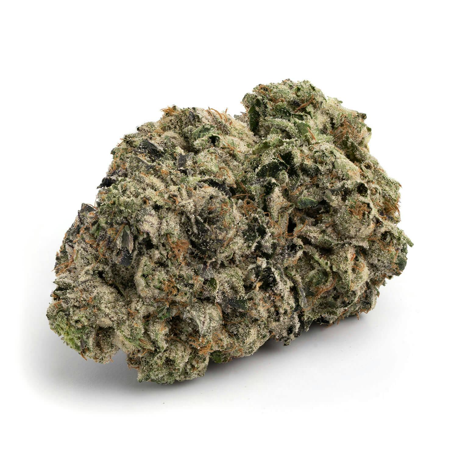 BLACK TUNA - 7
