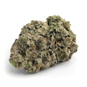 BLACK TUNA - 7