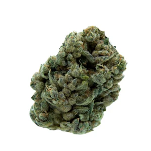 MTL Cannabis - JUNGL' CAKE - 3.5