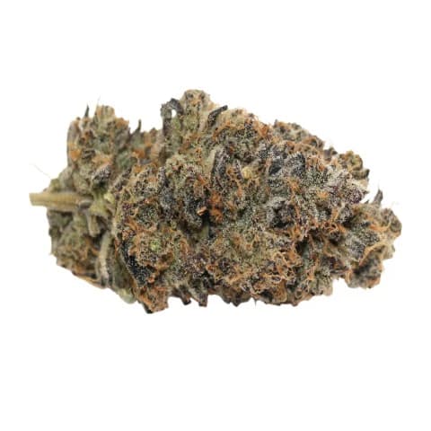 PURPLE G*SHERS - 3.5