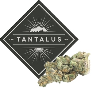 Tantalus - Rotating Indica