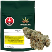 Special Haze