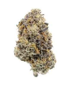 Sweetgrass Organic Cannabis  - ORGANIC FIESTAZ - 3.5G