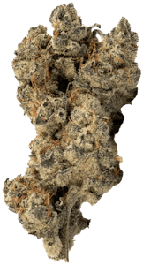 2 Rivers - 2 Rivers - Rotating Indica | 1g