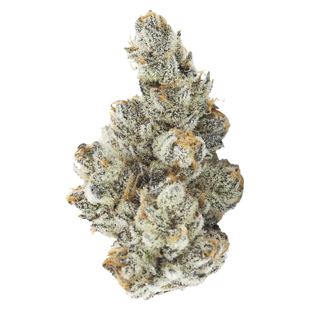 3RD COAST GENETICS - Black Truffle 7g Dried Flower Main Image