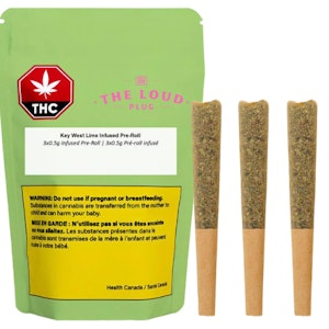 The Loud Plug - Key West Lime