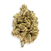 Black Mountain Side 3.5g Dried Flower