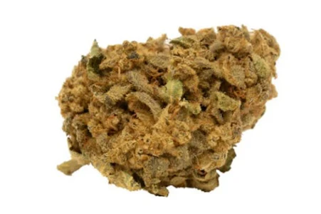 Tweed - TWEED CHERRY ACAI MINTS - 14