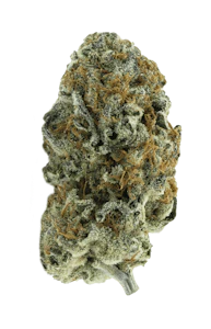 Partake - Orange Squeeze 28g Dried Flower