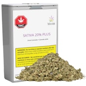 Sativa 20% Plus