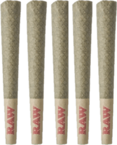 Tribal - Tribal - Galactic RNTZ Pre-Rolls 5x0.6g | 3g